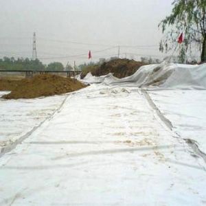 天津鹽堿地防滲復合膜焊接